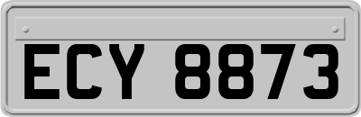 ECY8873