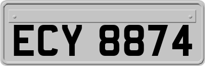 ECY8874