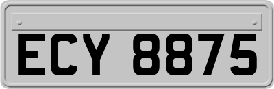 ECY8875