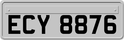 ECY8876