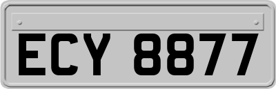 ECY8877