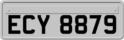 ECY8879