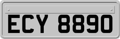 ECY8890