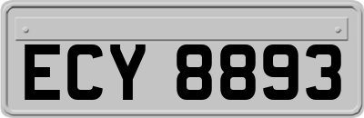 ECY8893