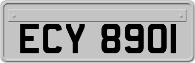 ECY8901