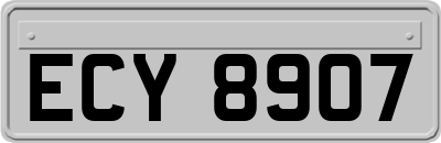 ECY8907