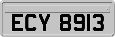 ECY8913