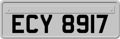 ECY8917