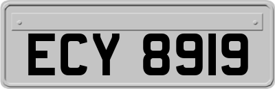 ECY8919