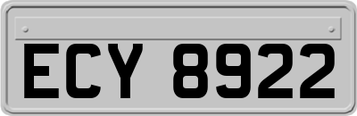 ECY8922