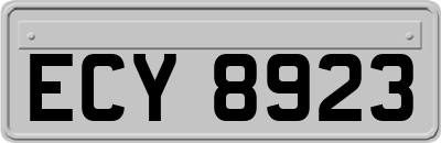 ECY8923