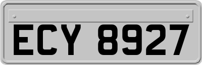 ECY8927