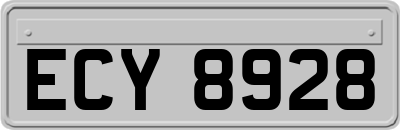 ECY8928