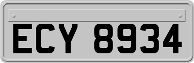 ECY8934