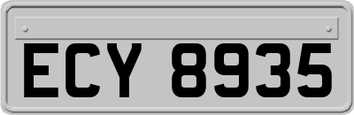 ECY8935