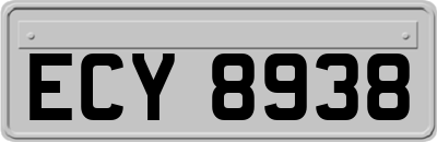ECY8938