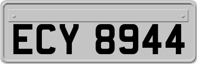 ECY8944