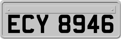 ECY8946