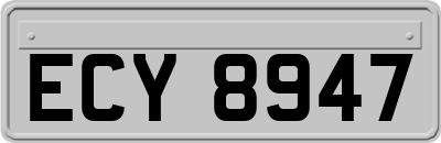 ECY8947