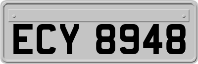 ECY8948