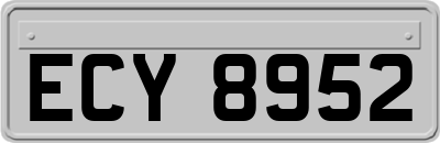 ECY8952
