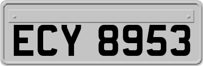 ECY8953
