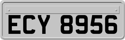 ECY8956