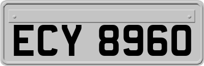 ECY8960