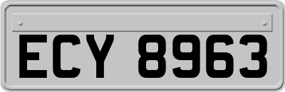 ECY8963