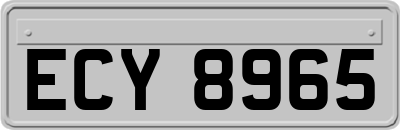 ECY8965
