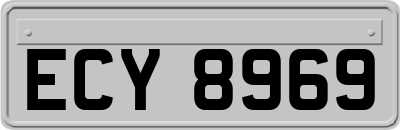ECY8969