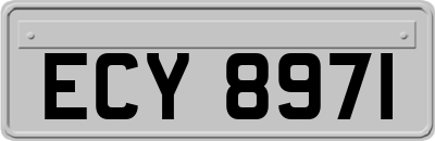 ECY8971