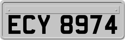 ECY8974