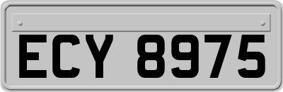 ECY8975