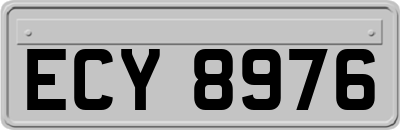 ECY8976