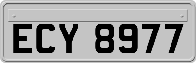 ECY8977