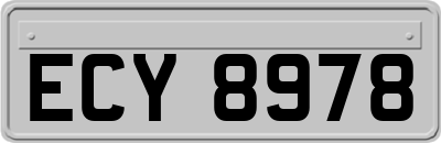 ECY8978
