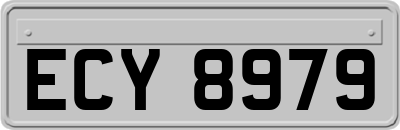 ECY8979