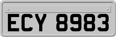 ECY8983