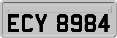 ECY8984