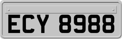 ECY8988