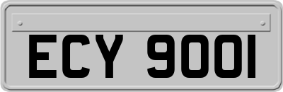 ECY9001