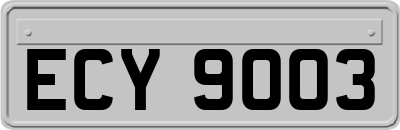 ECY9003
