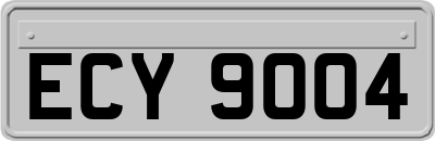 ECY9004
