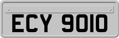 ECY9010