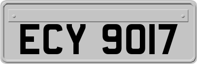 ECY9017
