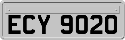 ECY9020