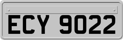 ECY9022