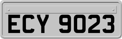 ECY9023