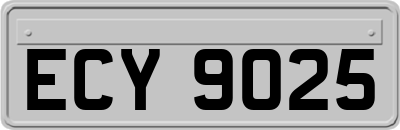 ECY9025
